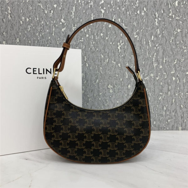 celine ava bag in triomphe canvas