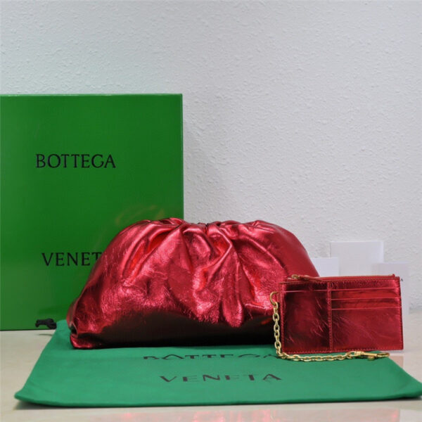 bottega veneta the pouch bag