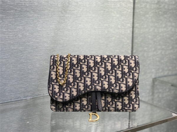 dior saddle pouch bag