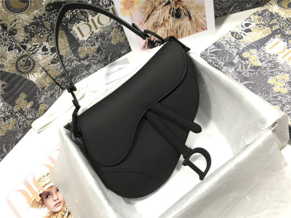 dior saddle bag large