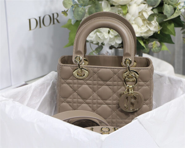 lady dior my abcdior bag small