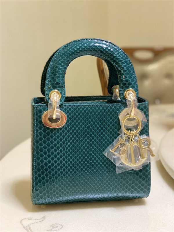 dior limited edition mini python leather lady bag