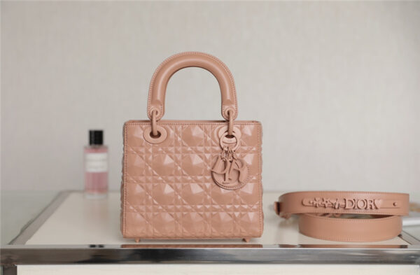 lady dior my abcdior bag