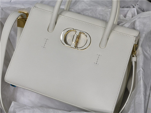 dior st honoré bag