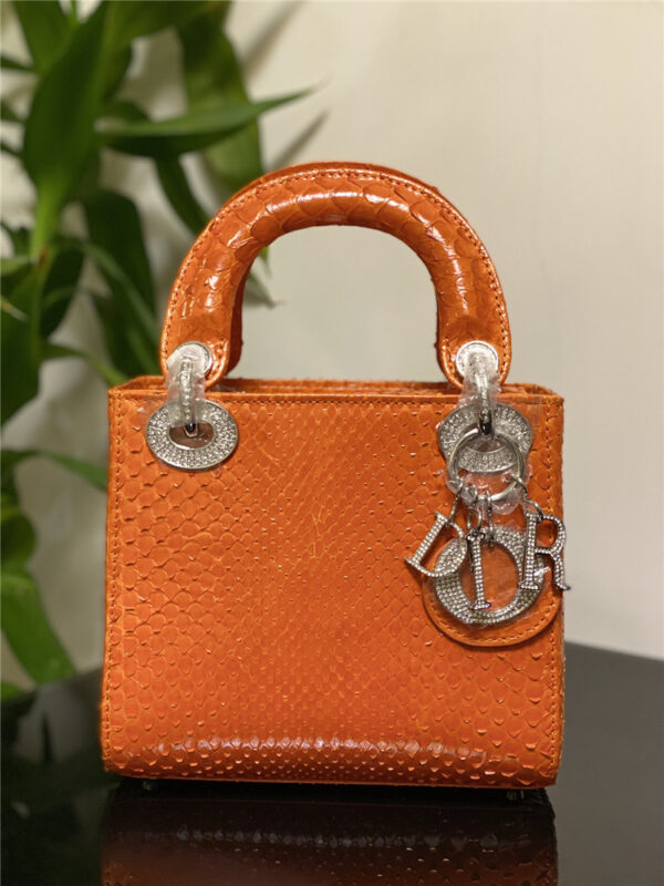 dior limited edition mini python leather lady bag