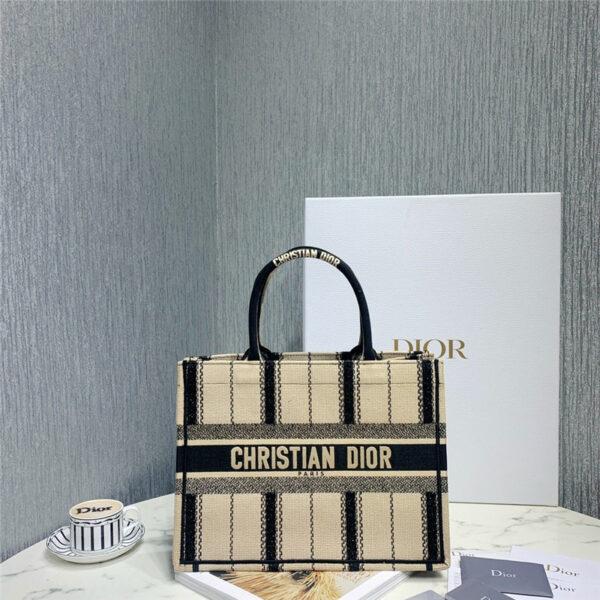 dior book tote small