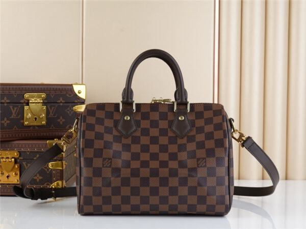 louis vuitton lv speedy 25 monogram bag