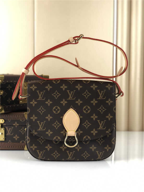 louis vuitton lv saint cloud bag