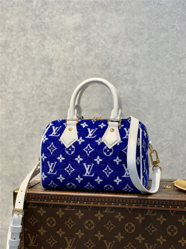 louis vuitton lv speedy 20 monogram bag