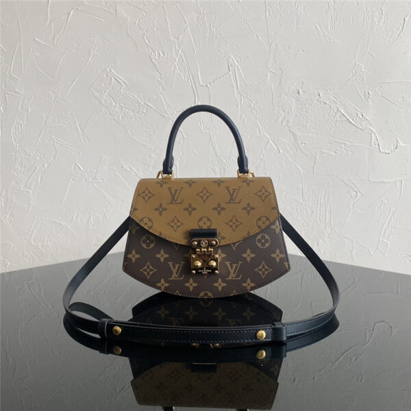 louis vuitton LV new handbag