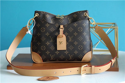 louis vuitton lv hobo bag